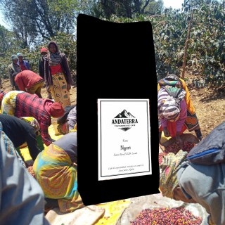 Café de Especialidad Kenia Nyeri | Notas de Frutos y Caramelo